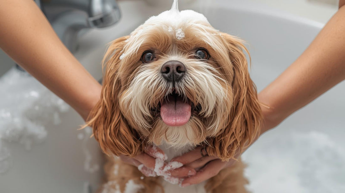 Hypoallergenic Pet Shampoo for Dogs with Sensitive Skin