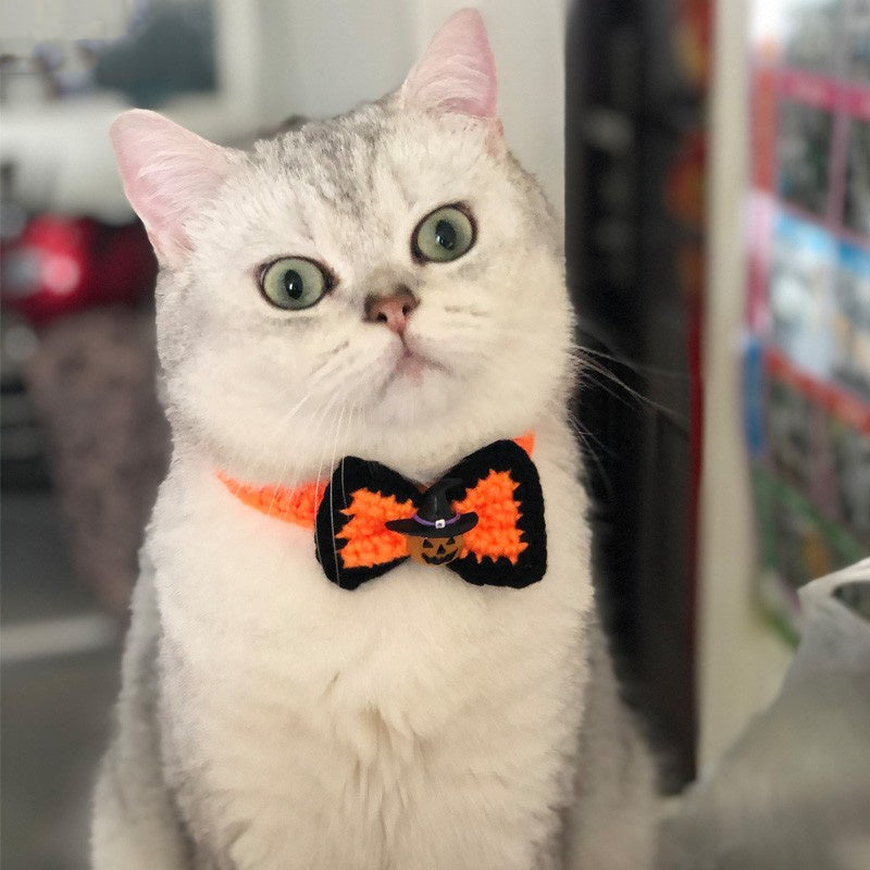 Spooky Halloween Hats for Pets - FurTrend