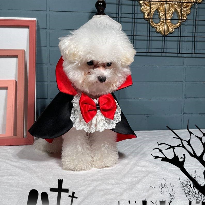 Pet Halloween Vampire Cloak Windbreaker Costume - FurTrend