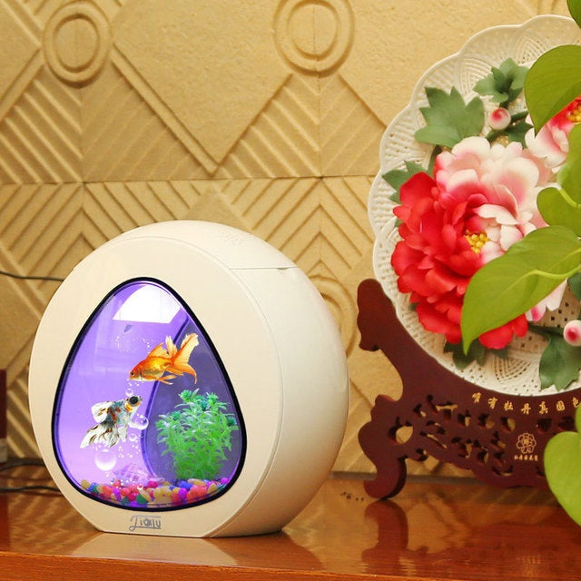 Acrylic Desktop Fish Tank Aquarium - FurTrend