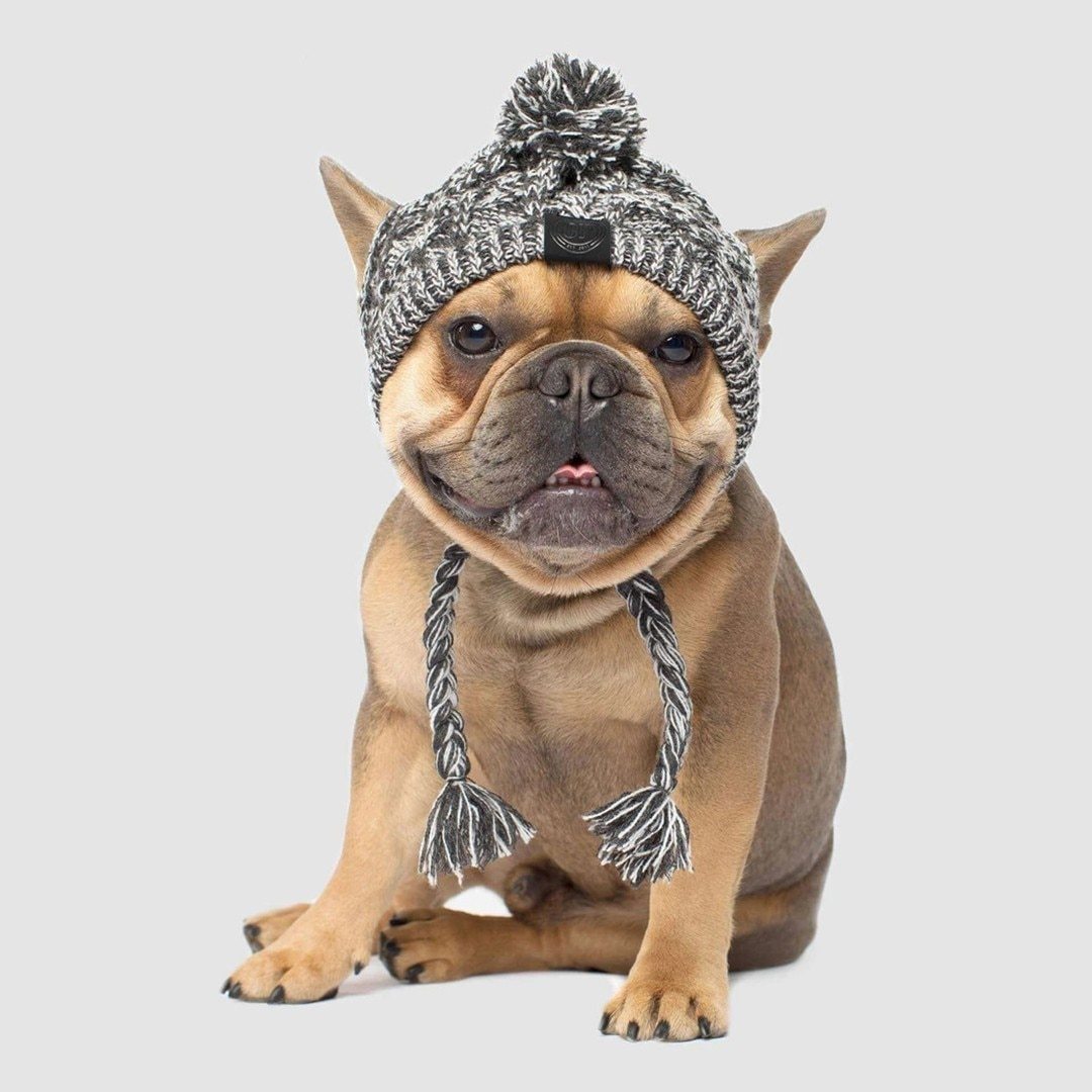 Fluffy Knitted Polar Dog Hat – Autumn Fashion
