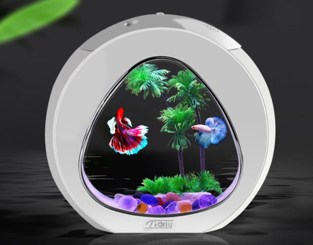 Acrylic Desktop Fish Tank Aquarium - FurTrend