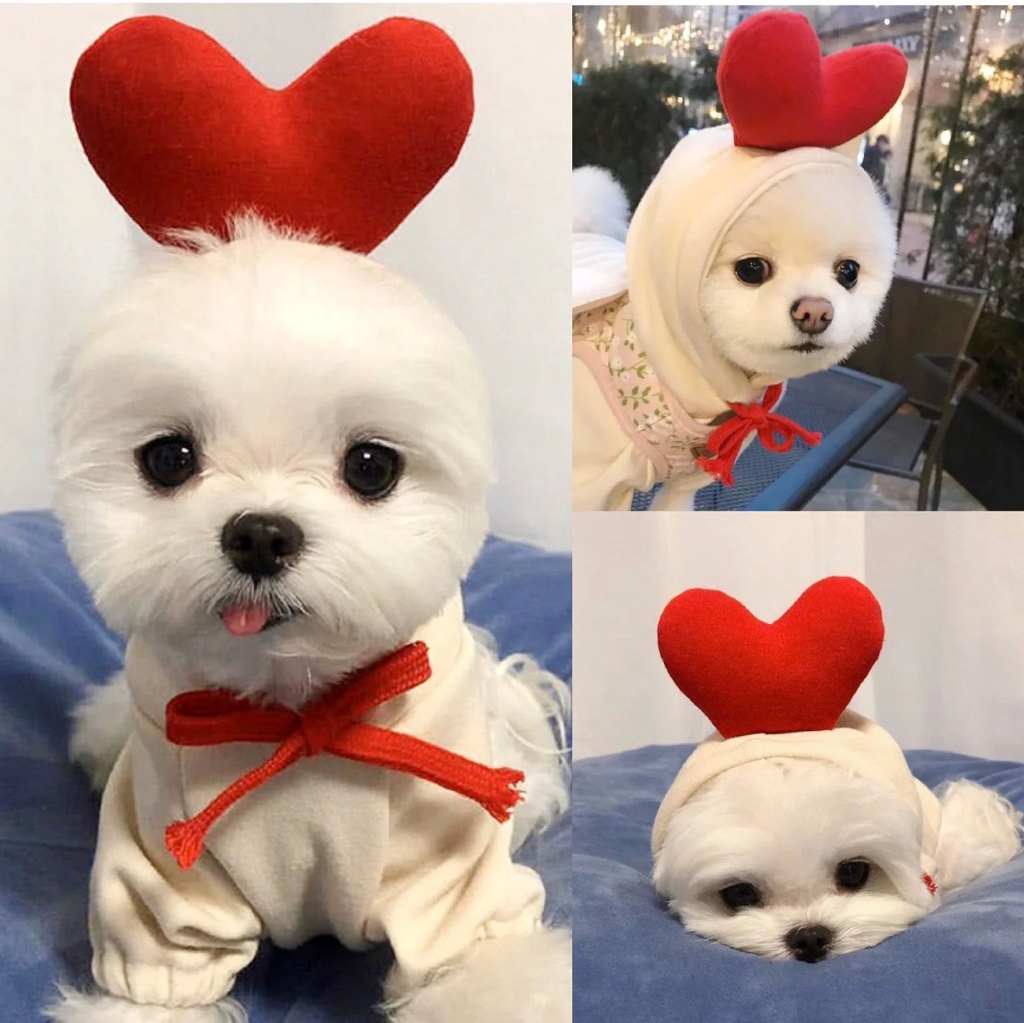 Cute Fruit Dog Hoodie – Winter Fleece for Small Pets - FurTrend