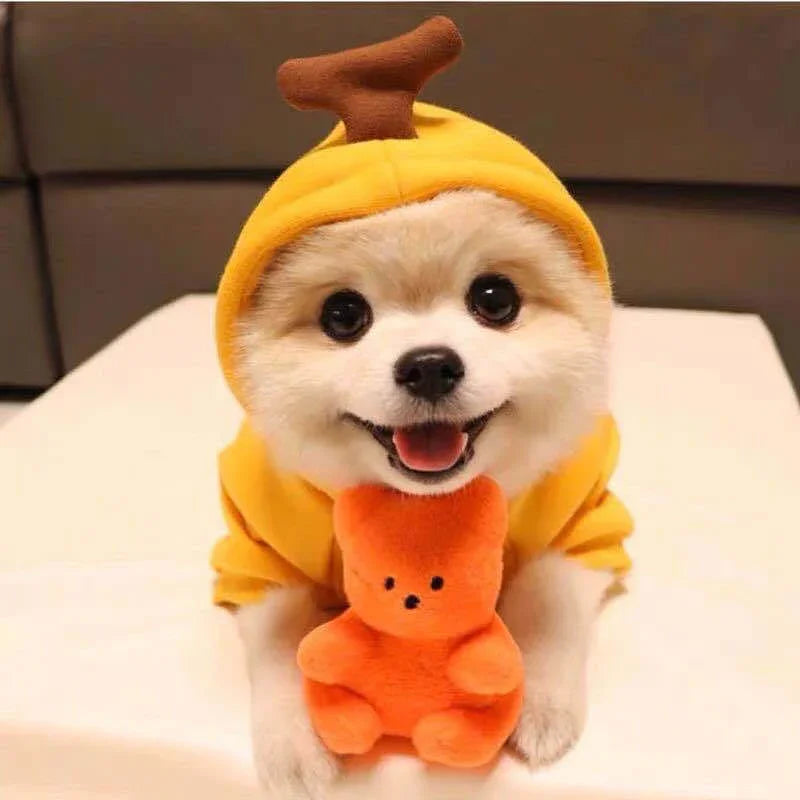 Cute Fruit Dog Hoodie – Winter Fleece for Small Pets - FurTrend
