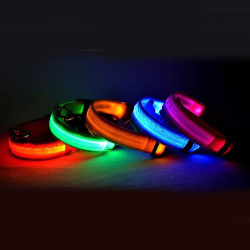 Glow LED Dog Leash – Night Safety Collar - FurTrend