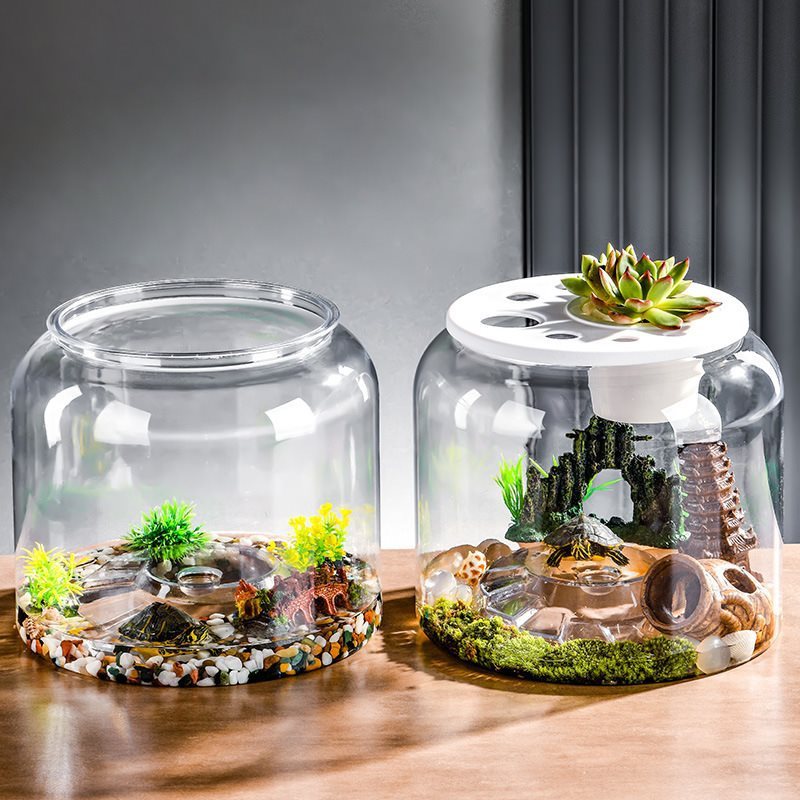 Transparent Eco-Friendly Desktop Turtle Tank - FurTrend