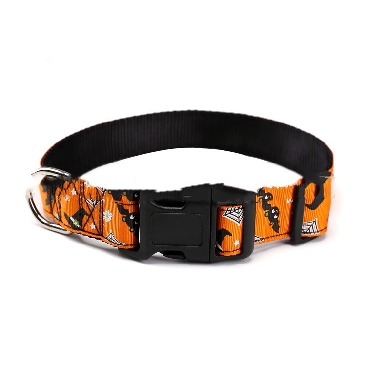 Halloween Pet Collar – Cute & Spooky Designs - FurTrend