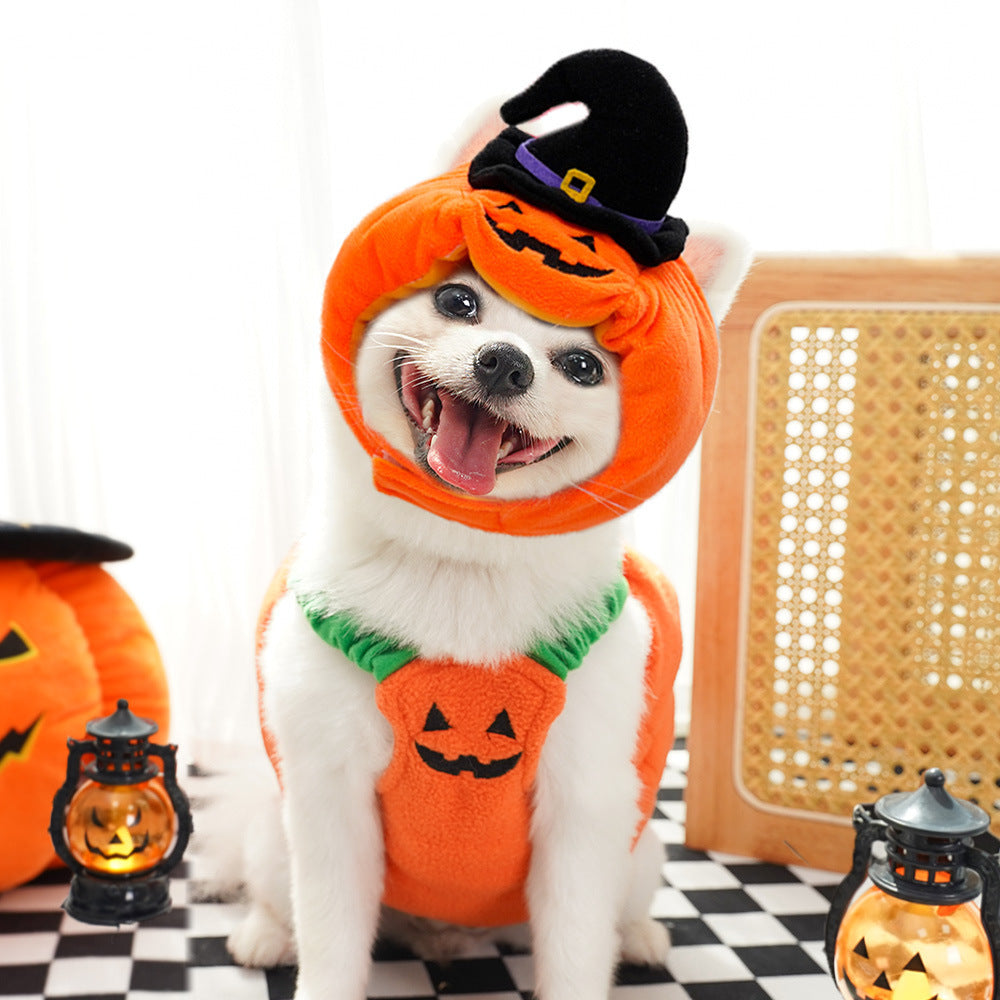 Funny Dog Cat Pumpkin Outfit – Holiday Pet Apparel - FurTrend