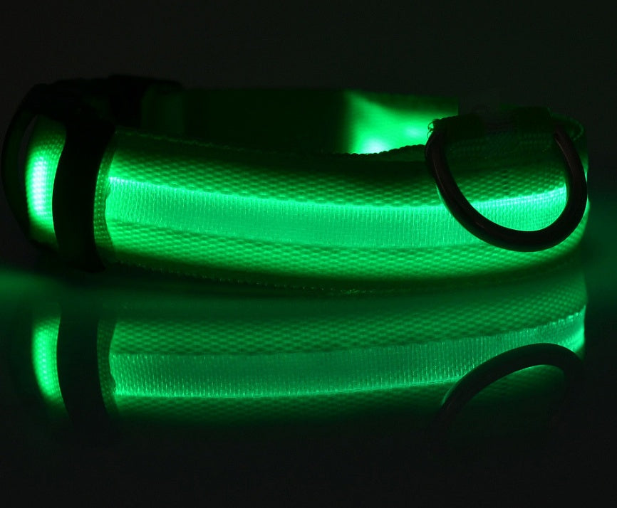 Glow LED Dog Leash – Night Safety Collar - FurTrend