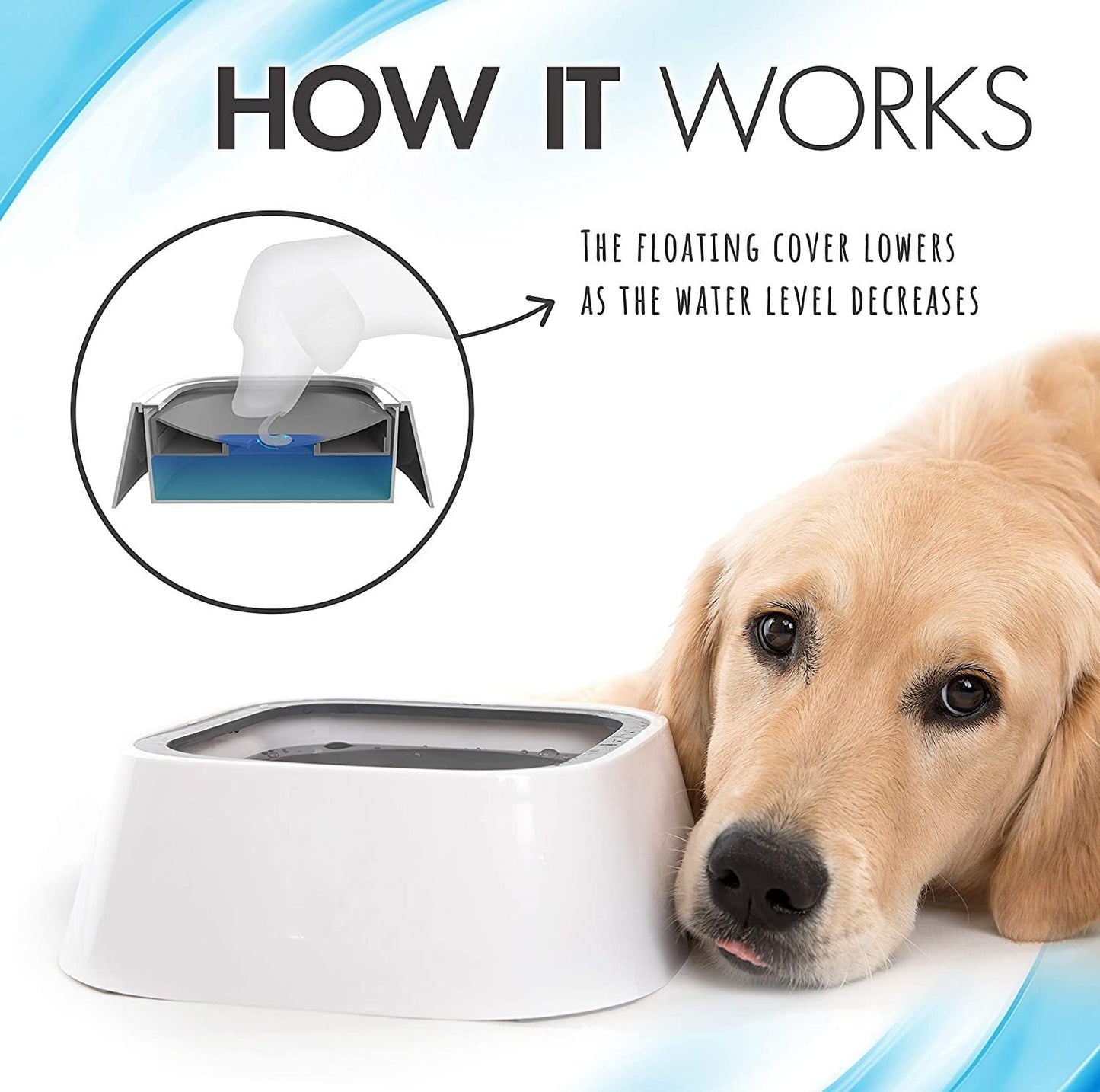 Pet Water Bowl Dispenser – Slow Feeder 1.5L - FurTrend