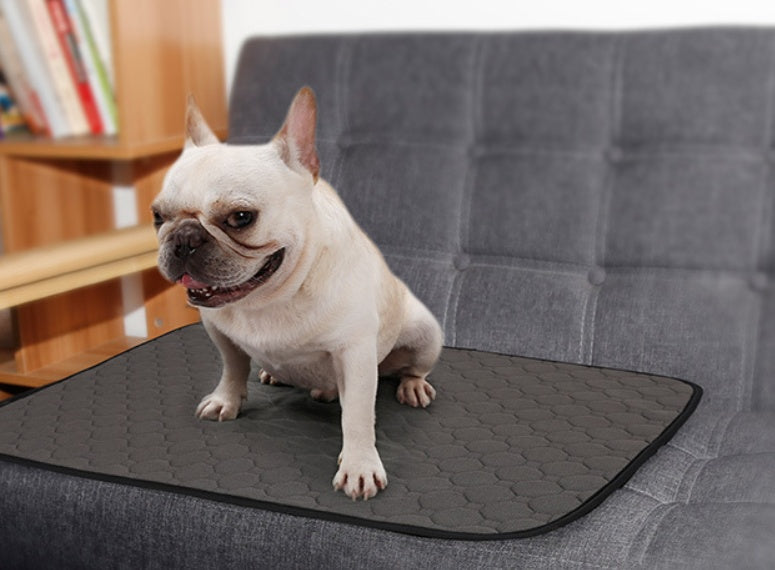 Absorbent Dog Urine Pads – Leak Proof Protection & Odor Control - FurTrend