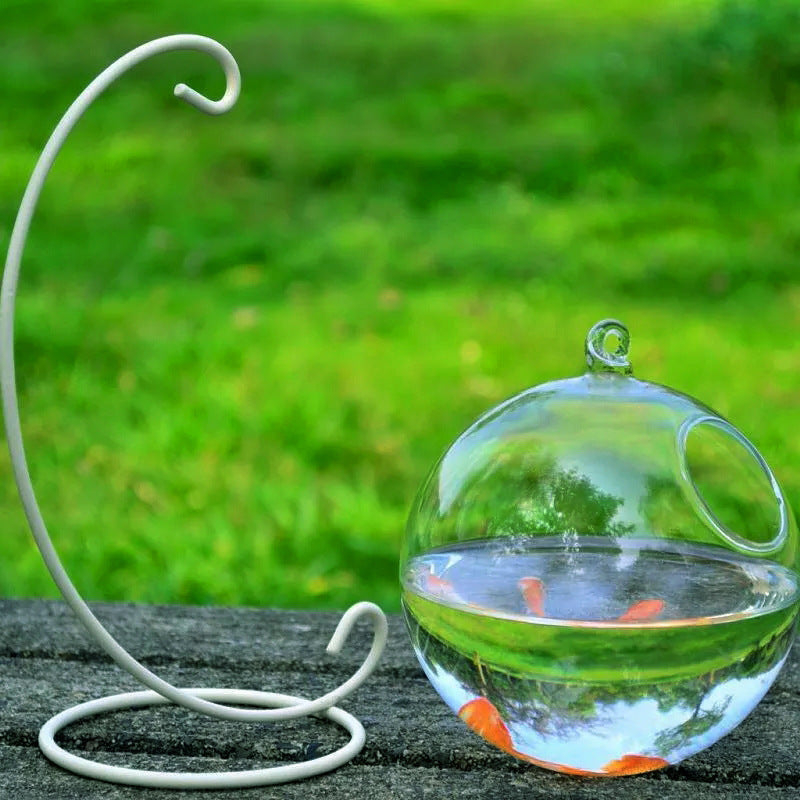 Mini Glass Fish Tank – Elegant Borosilicate Aquarium - FurTrend