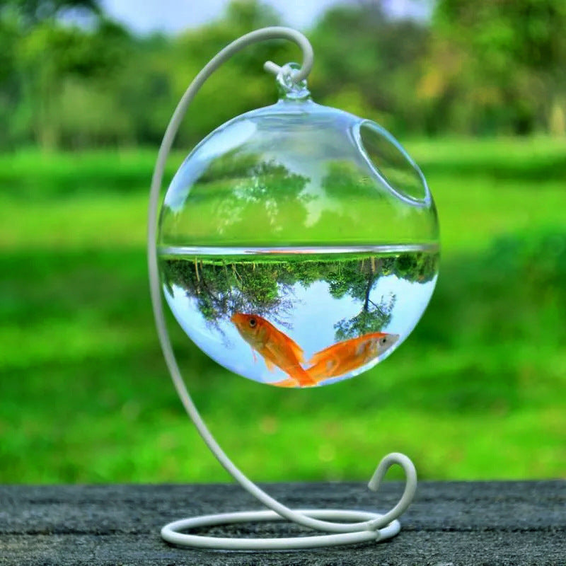 Mini Glass Fish Tank – Elegant Borosilicate Aquarium - FurTrend