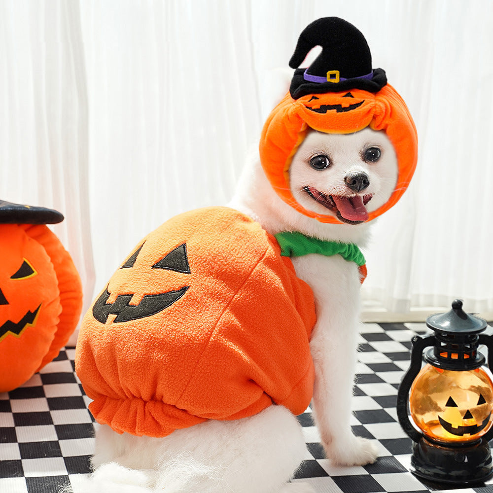 Funny Dog Cat Pumpkin Outfit – Holiday Pet Apparel - FurTrend