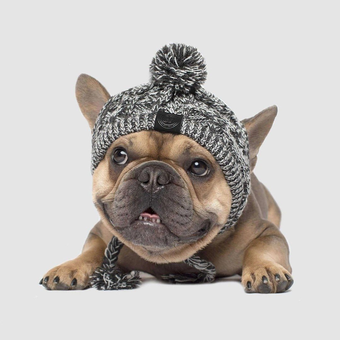Fluffy Knitted Polar Dog Hat – Autumn Fashion