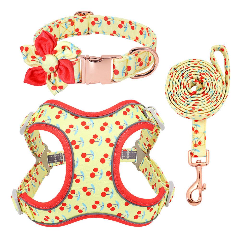 Personalized Dog Collar with Leash and Harness - FurTrend