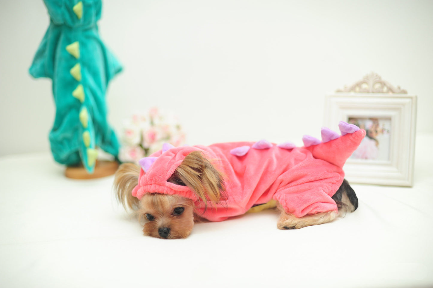 Funny Dog Dinosaur Costume for Halloween - FurTrend
