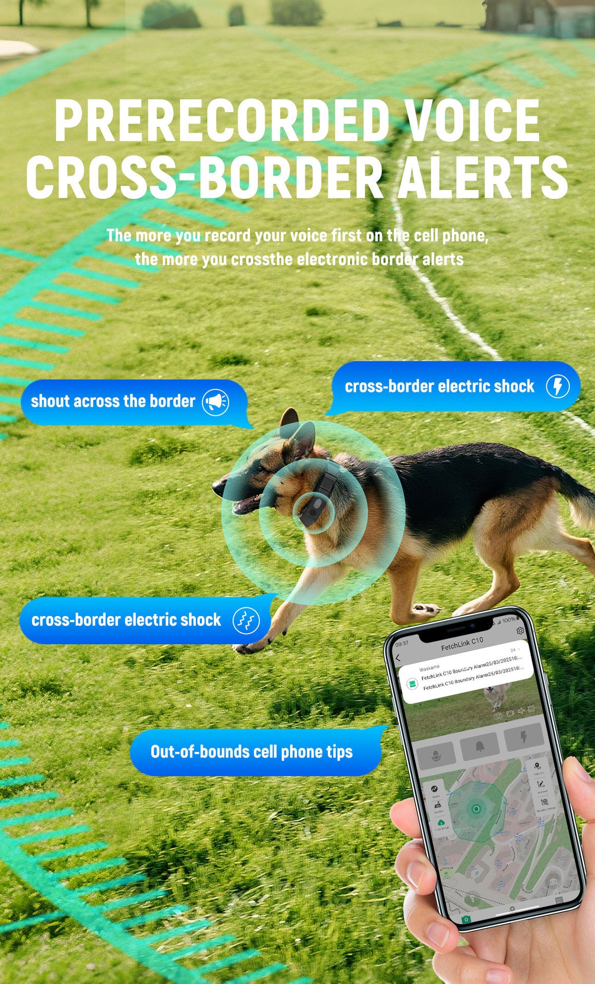 C10 Smart Pet Collar – Health & Activity Tracker - FurTrend