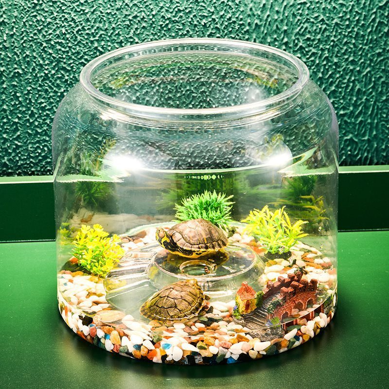 Transparent Eco-Friendly Desktop Turtle Tank - FurTrend