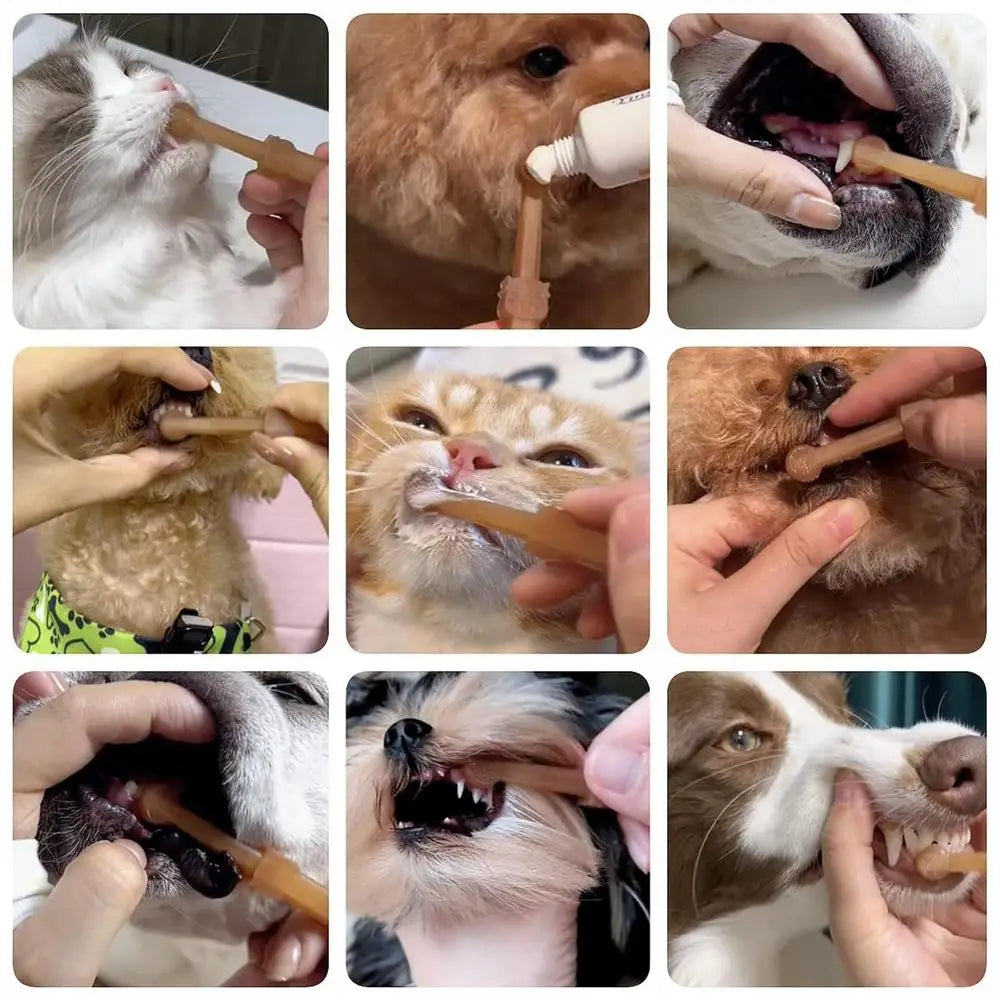 Pet Toothbrush Kit – Soft Silicone for Dogs & Cats - FurTrend