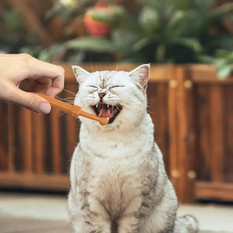 Pet Toothbrush Kit – Soft Silicone for Dogs & Cats - FurTrend