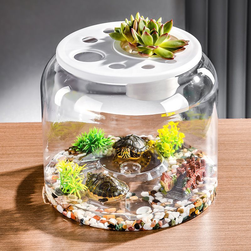 Transparent Eco-Friendly Desktop Turtle Tank - FurTrend