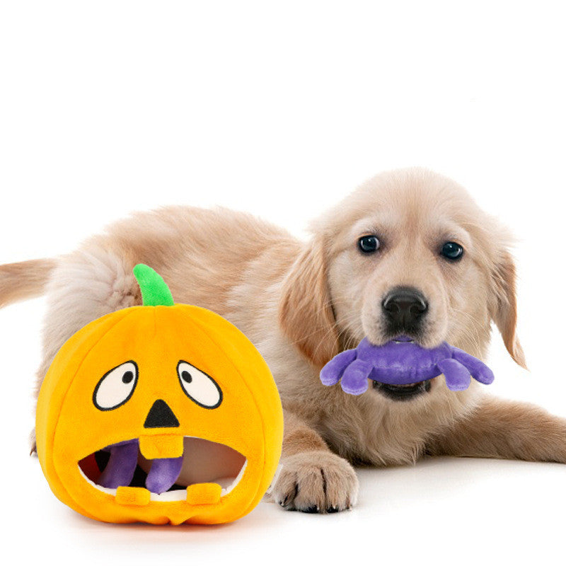 Halloween Voice Toy Set – Pumpkin, Bat, Ghost, Spider - FurTrend