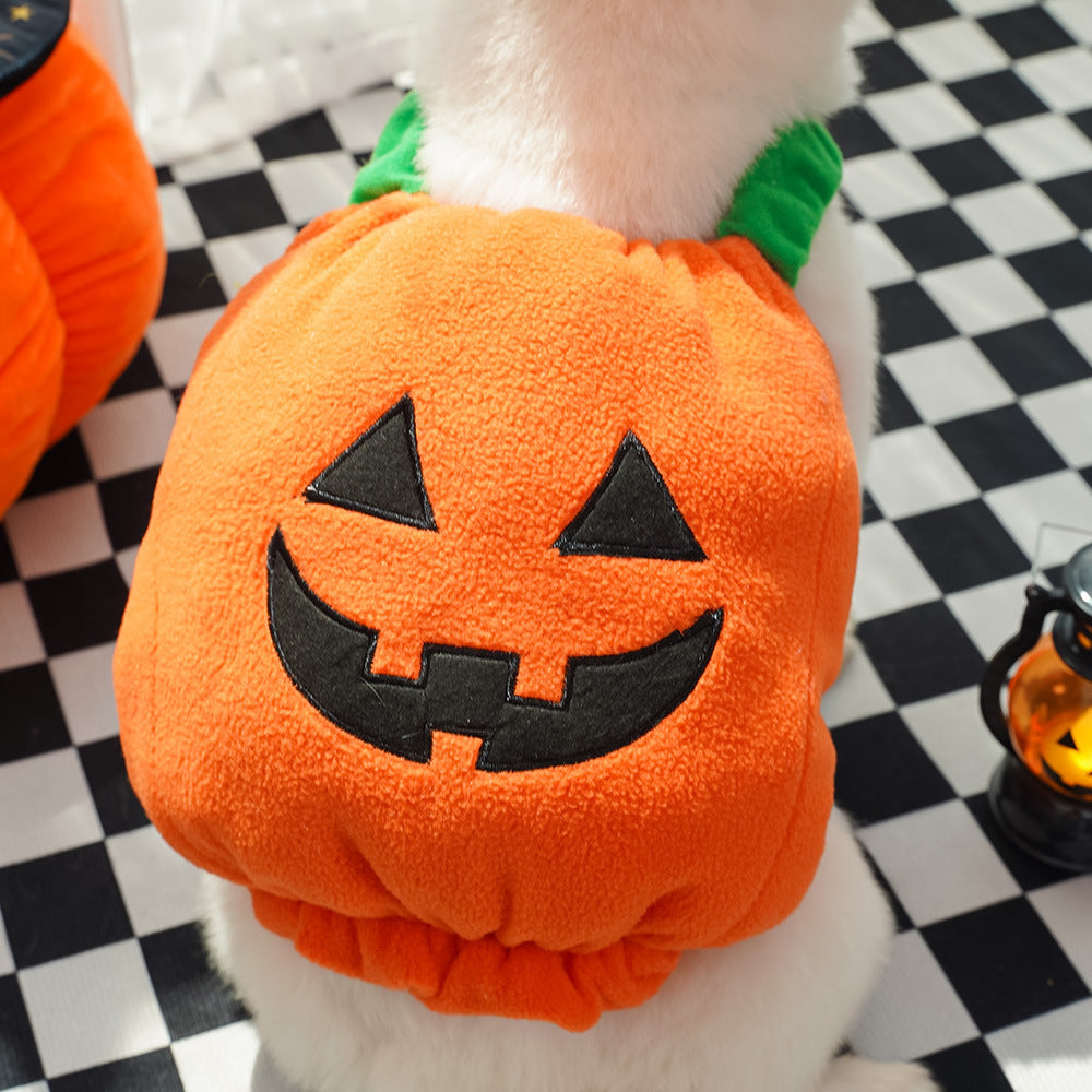 Funny Dog Cat Pumpkin Outfit – Holiday Pet Apparel - FurTrend