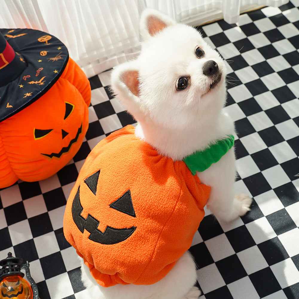 Funny Dog Cat Pumpkin Outfit – Holiday Pet Apparel - FurTrend