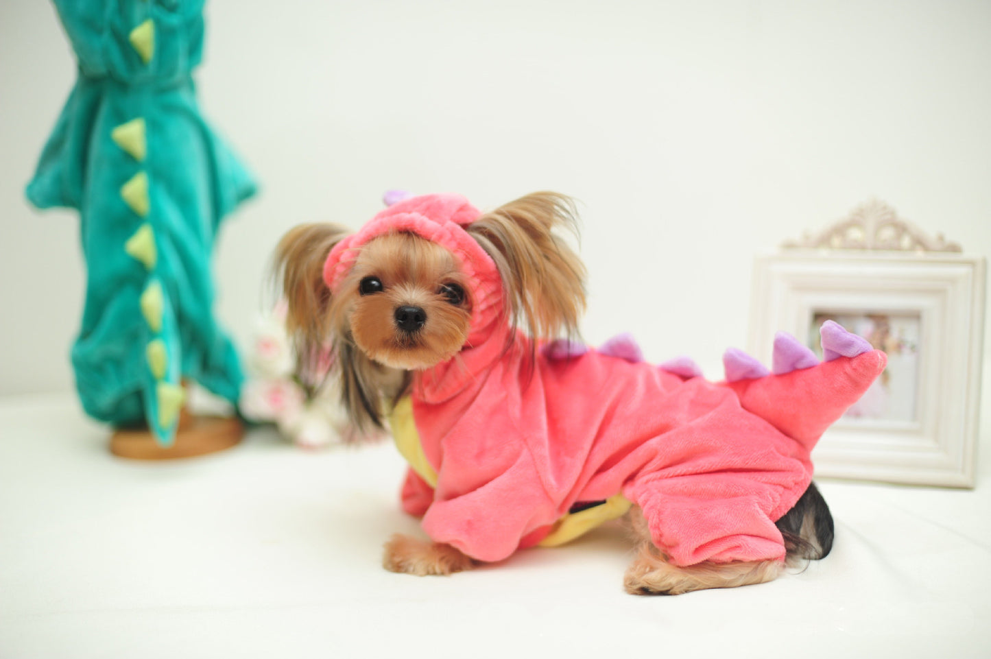 Funny Dog Dinosaur Costume for Halloween - FurTrend