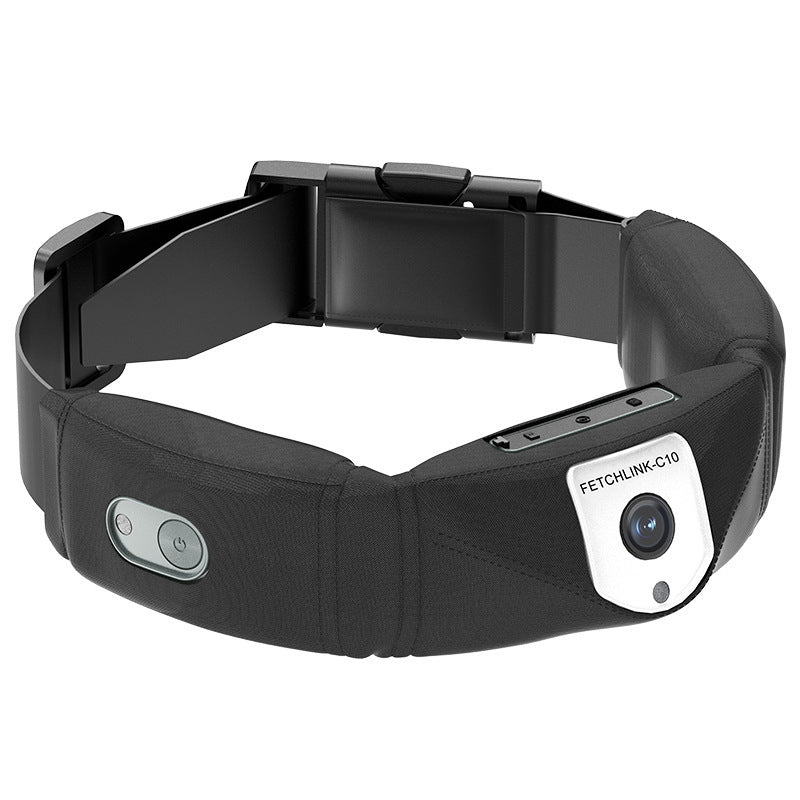C10 Smart Pet Collar – Health & Activity Tracker - FurTrend