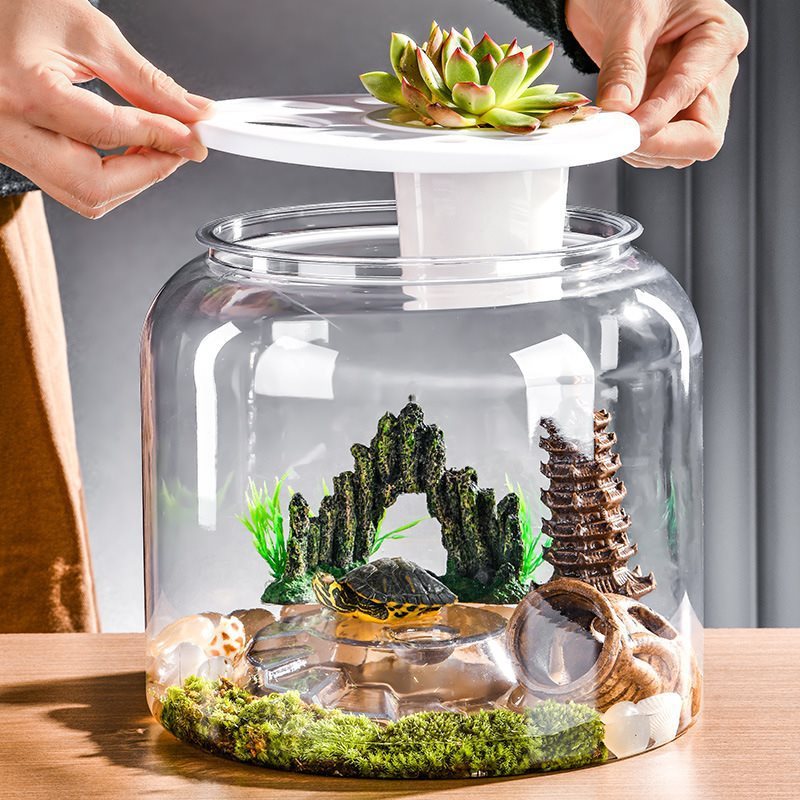 Transparent Eco-Friendly Desktop Turtle Tank - FurTrend