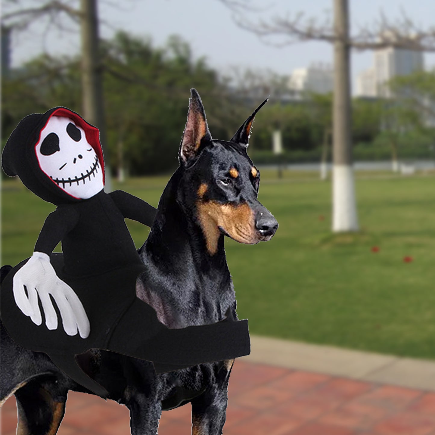 Funny Pet Halloween Costume – Cute Cosplay Outfit