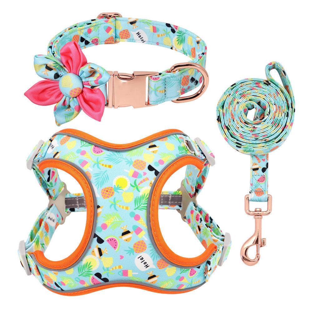 Personalized Dog Collar with Leash and Harness - FurTrend