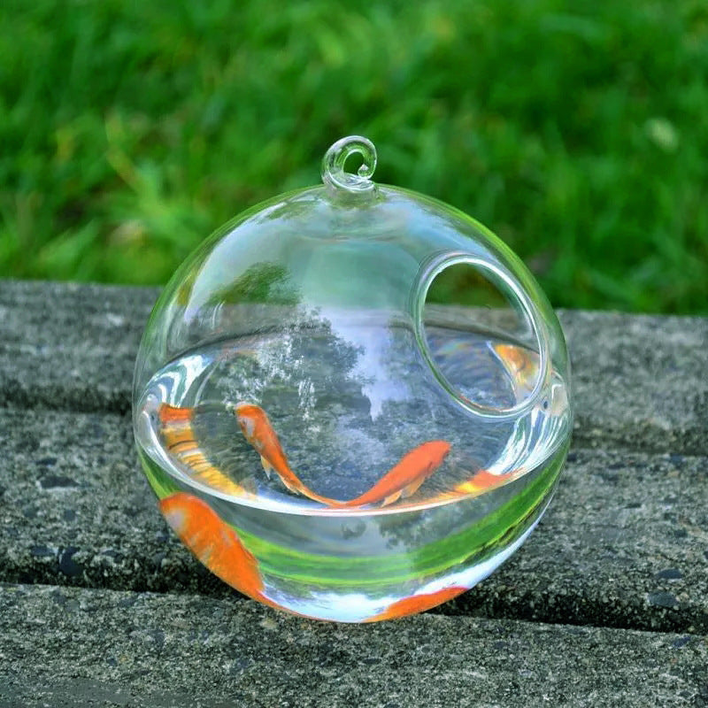 Mini Glass Fish Tank – Elegant Borosilicate Aquarium - FurTrend