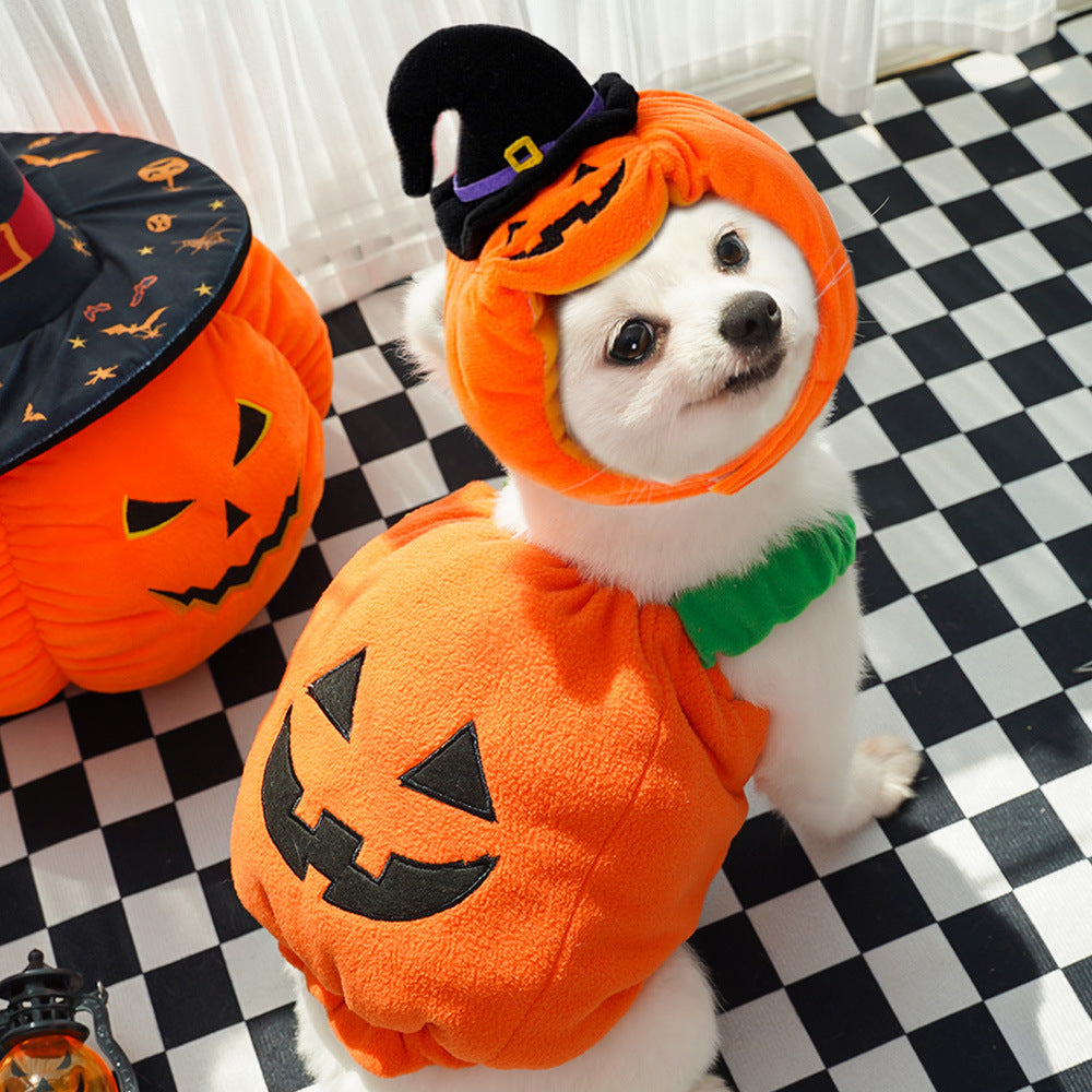 Funny Dog Cat Pumpkin Outfit – Holiday Pet Apparel - FurTrend