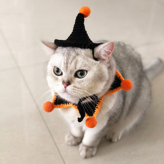 Spooky Halloween Hats for Pets - FurTrend