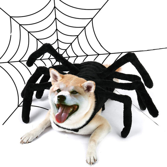 Creative Spider Outfit for Small Dogs and Cats - FurTrend