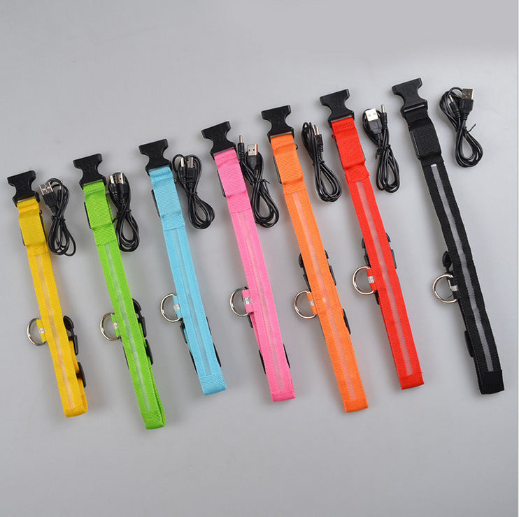 Glow LED Dog Leash – Night Safety Collar - FurTrend