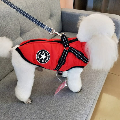 Warm Dog Jacket for Winter – Waterproof & Cozy - FurTrend