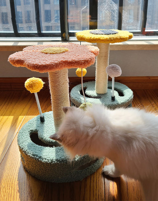 Cat Scratch Board for Claw Grinding & Play - FurTrend