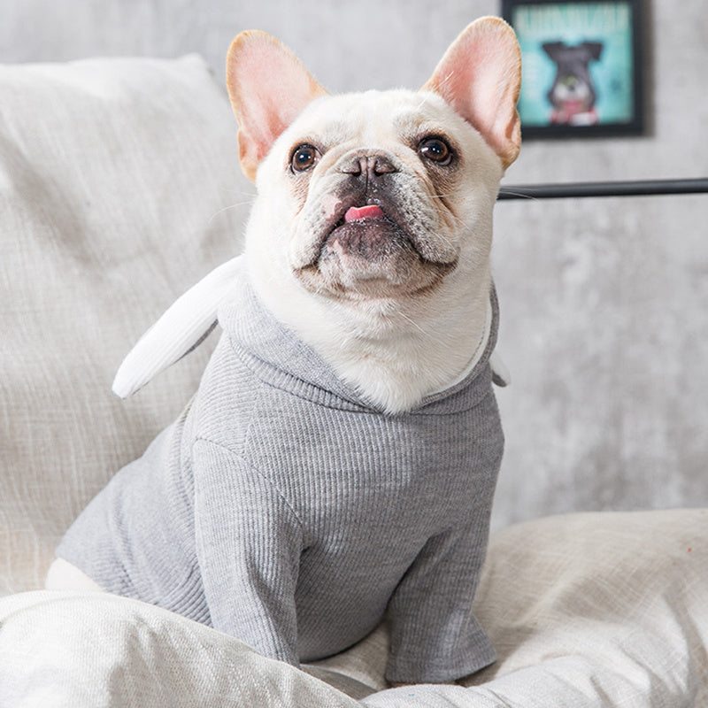 Pet Dog Hoodie – Spring & Fall Outfit - FurTrend
