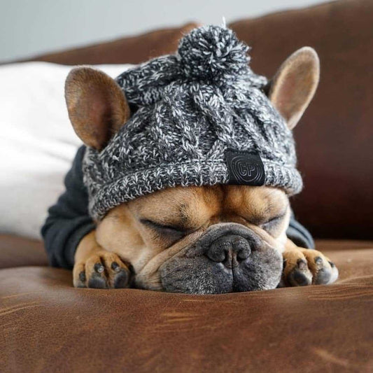 Fluffy Knitted Polar Dog Hat – Autumn Fashion