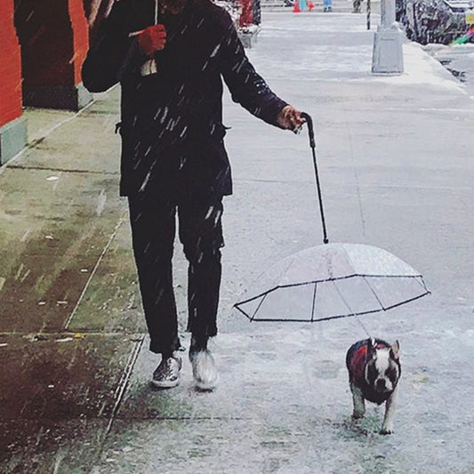Pet Umbrella with Leash – Clear & Convenient - FurTrend