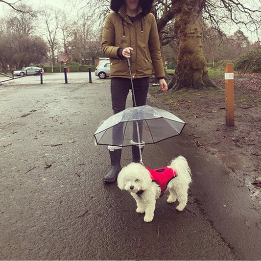 Pet Umbrella with Leash – Clear & Convenient - FurTrend