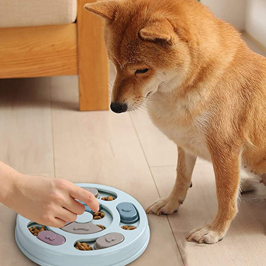 Dog Puzzle Feeding Bowls - FurTrend