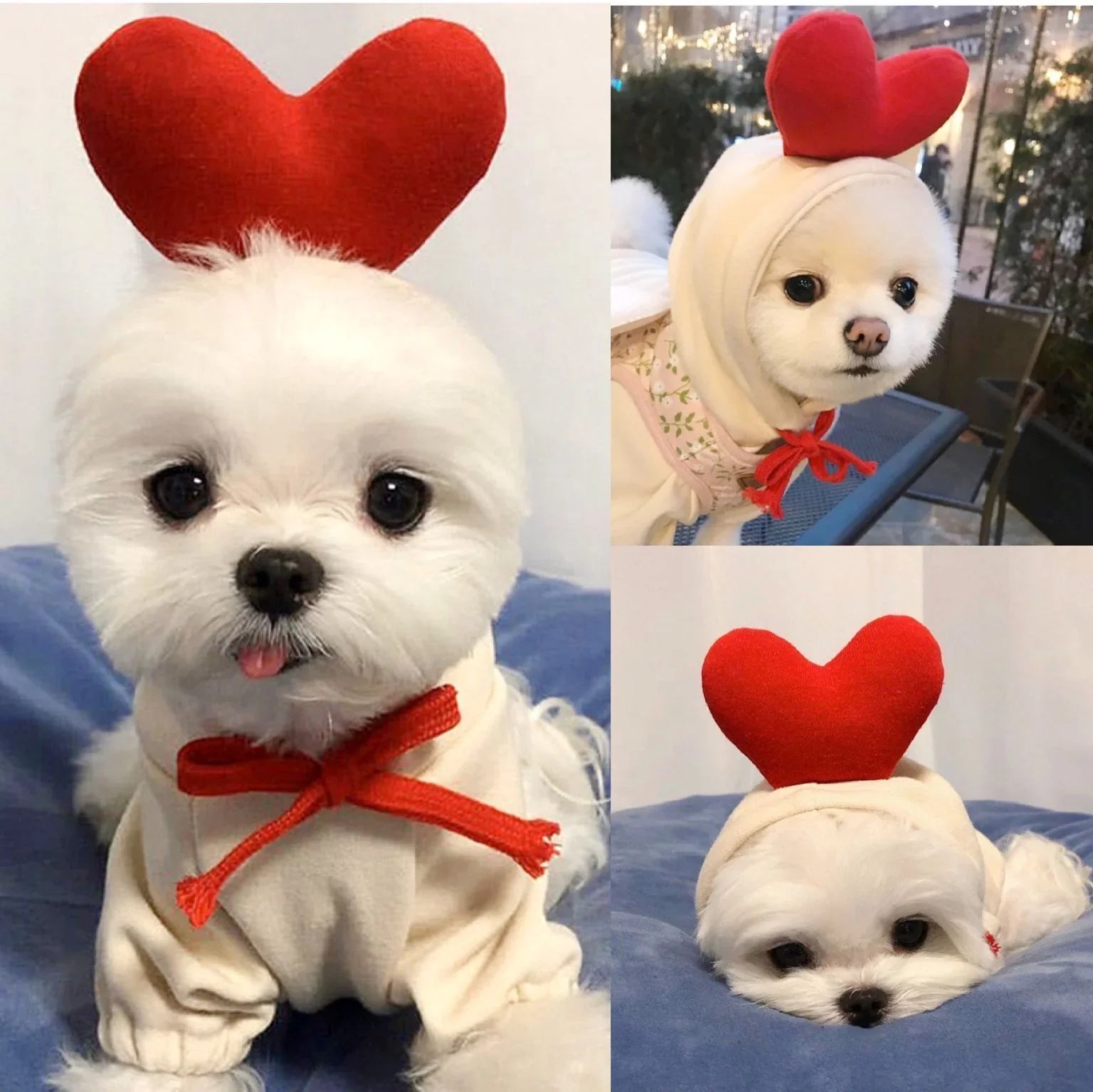 Cute Fruit Dog Hoodie – Winter Fleece for Small Pets - FurTrend