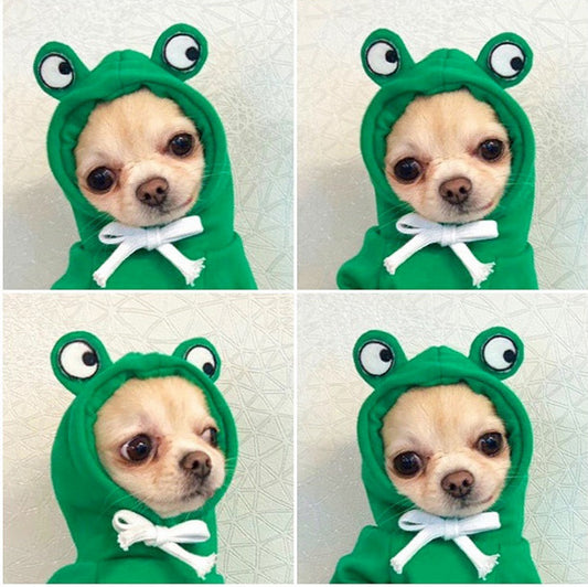 Cute Fruit Dog Hoodie – Winter Fleece for Small Pets - FurTrend