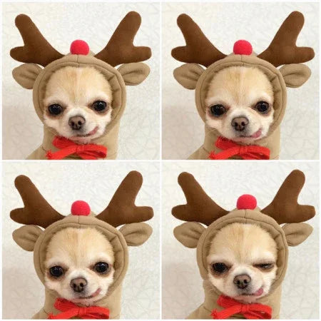 Cute Fruit Dog Hoodie – Winter Fleece for Small Pets - FurTrend