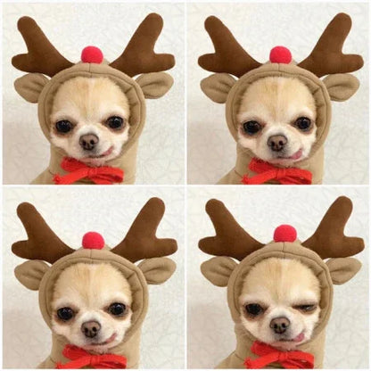Cute Fruit Dog Hoodie – Winter Fleece for Small Pets - FurTrend
